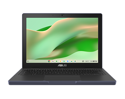 Education Chromebook Infographics